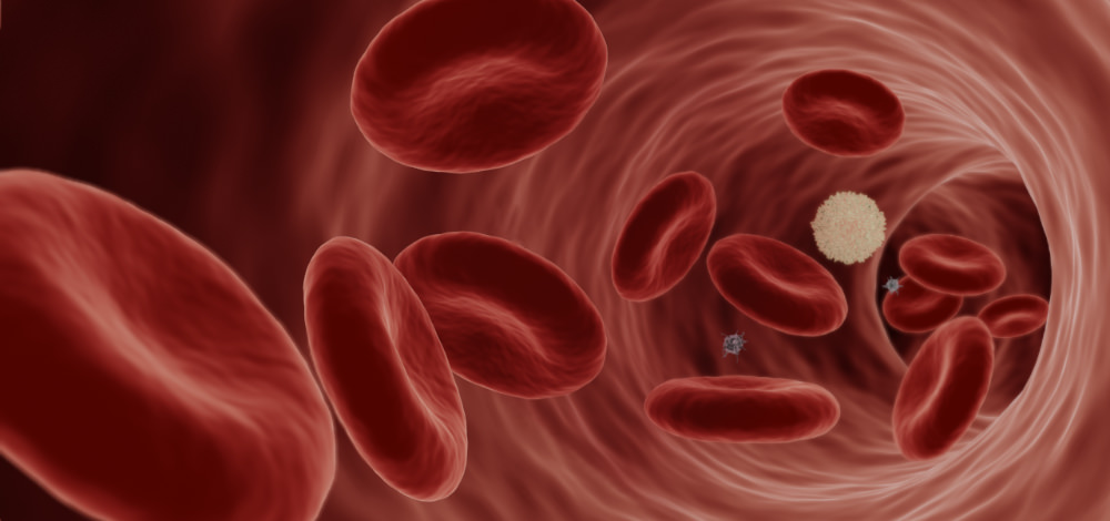 Blutzellen in der Blutbahn als 3D-Modell