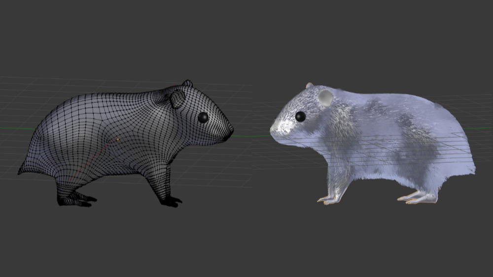 Hamster, Wireframe & Solid Mode